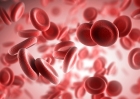 Развернутый анализ крови с тромбоцитами и эритроцитами
