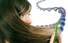 ДНК тест по волосу