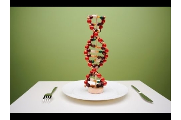 ДНК-тест на обмен веществ, коррекцию веса