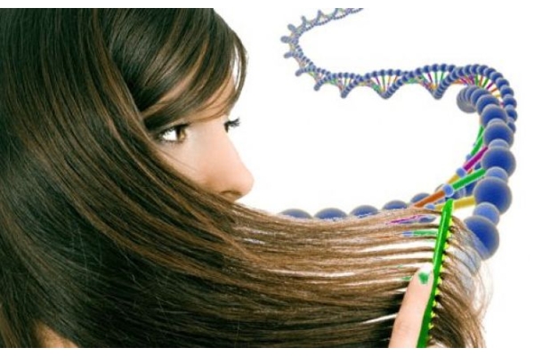 ДНК тест по волосу
